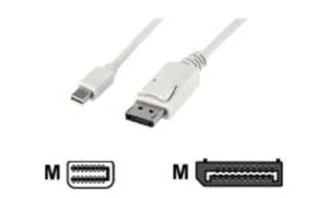Mini DP (m) to DP (m)