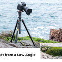 K&F Concept 64” Carbon Fiber Camera Tripod | Lightweight & Travel-Friendly