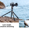 K&F Concept 64” Carbon Fiber Camera Tripod | Lightweight & Travel-Friendly