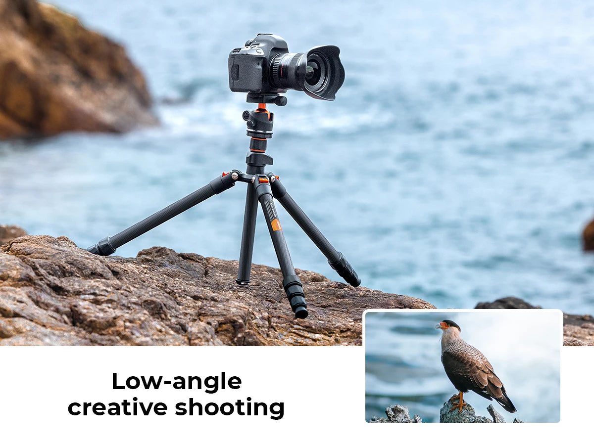 K&F Concept 64” Carbon Fiber Camera Tripod | Lightweight & Travel-Friendly