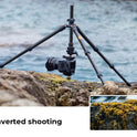 K&F Concept 64” Carbon Fiber Camera Tripod | Lightweight & Travel-Friendly