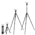 K&F Concept 64” Carbon Fiber Camera Tripod | Lightweight & Travel-Friendly